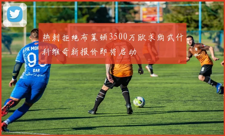 热刺拒绝布莱顿3500万欧求购武什科维奇新报价即将启动