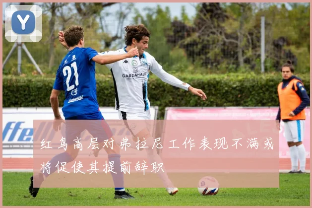 红鸟高层对弗拉尼工作表现不满或将促使其提前辞职